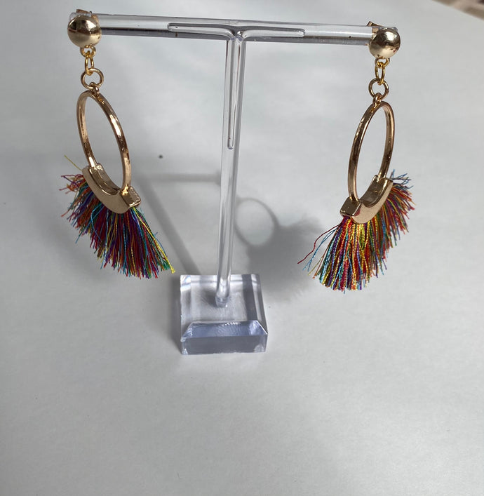 Long Hoop Tassel Earrings